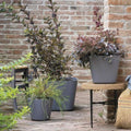 Plant pot Deroma