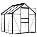 NNEVL Greenhouse Anthracite Aluminium 3.61 m²