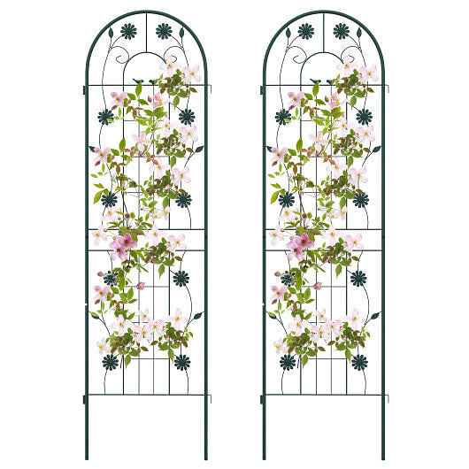 2 Pack 71 x 20 Inch Metal Garden Trellis Rustproof Plant Support for Climbing Plants-Green